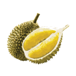 Durian-Vector